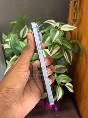 Apple iPhone 14 (Used)
