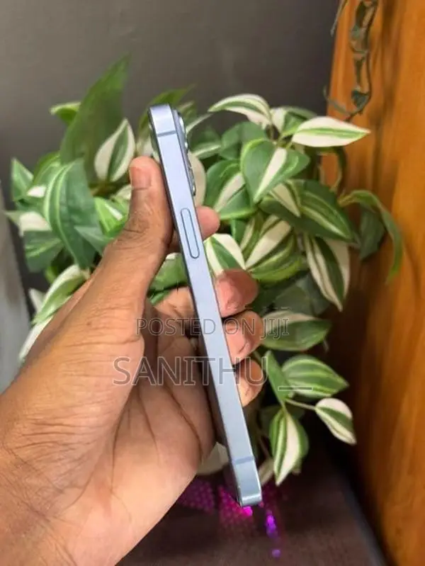 Apple iPhone 14 (Used)