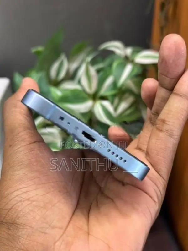 Apple iPhone 14 (Used)