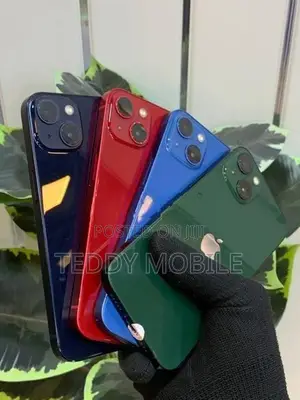Apple iPhone 13 (Used)