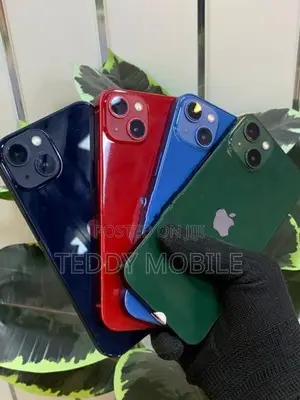Apple iPhone 13 (Used)