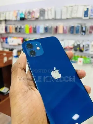 Apple iPhone 12 128GB Fullset Box (Used)
