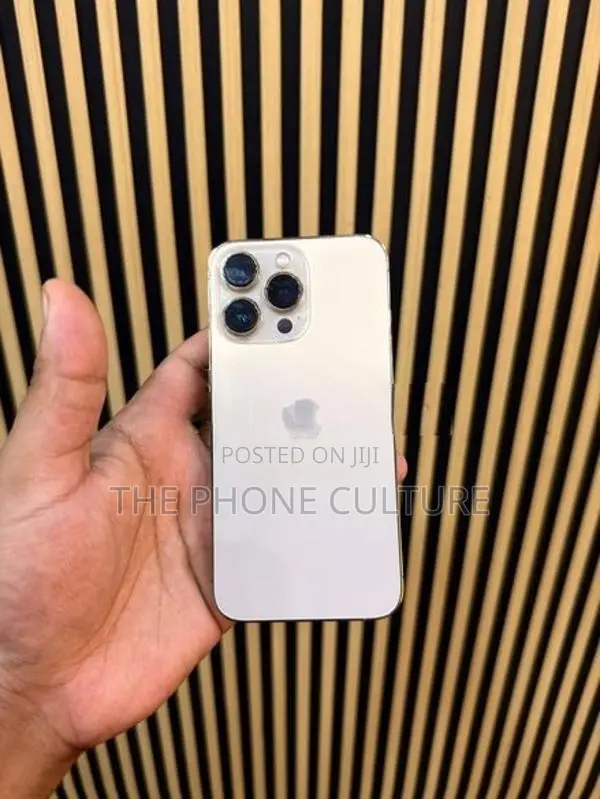 Apple iPhone 13 Pro 128GB (Used)