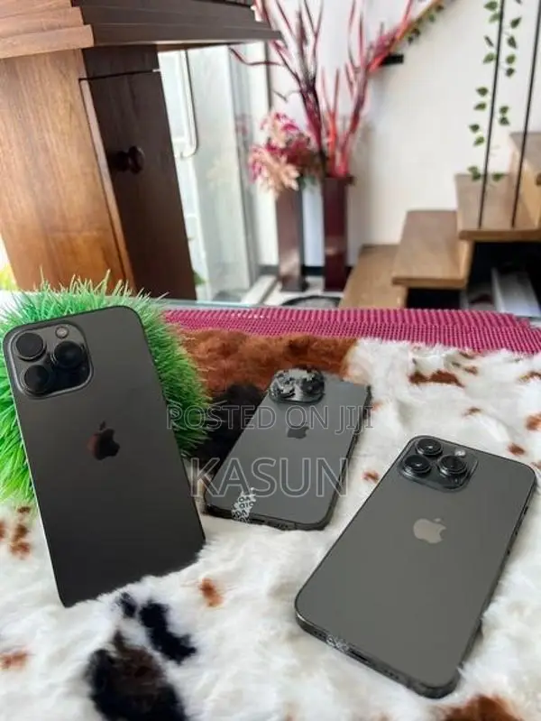Apple iPhone 14 Pro Max 256GB (Used)