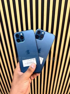 Apple iPhone 12 Pro Max 256GB (Used)
