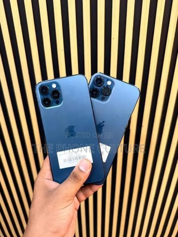 Apple iPhone 12 Pro Max 256GB (Used)