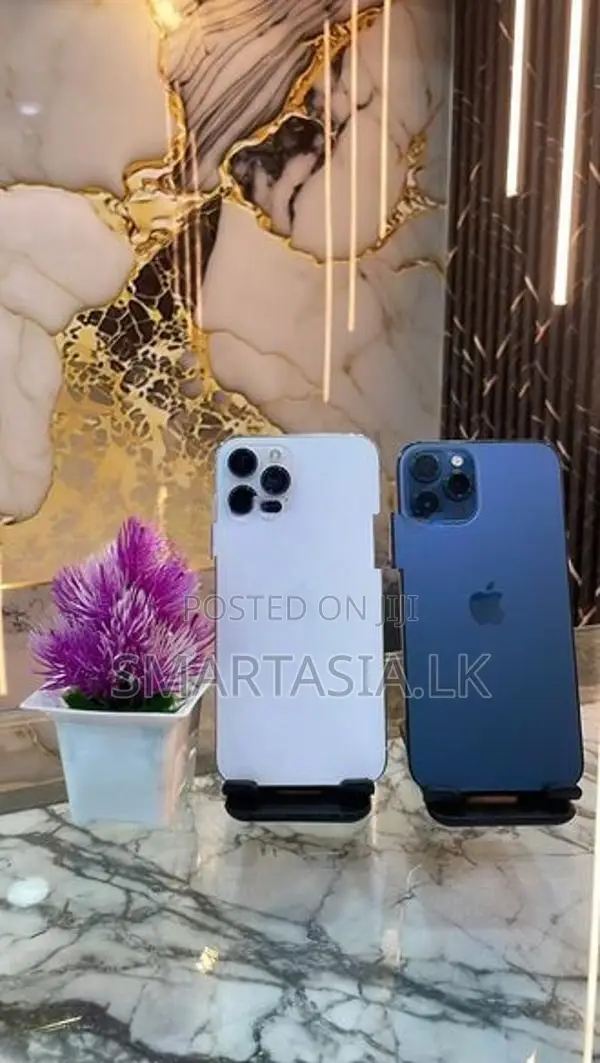 Apple iPhone 12 Pro Max 256GB (Used)