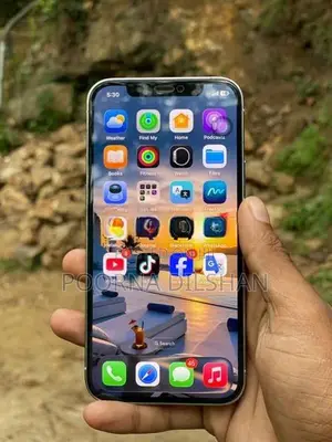 Apple iPhone 12 Pro (Used)