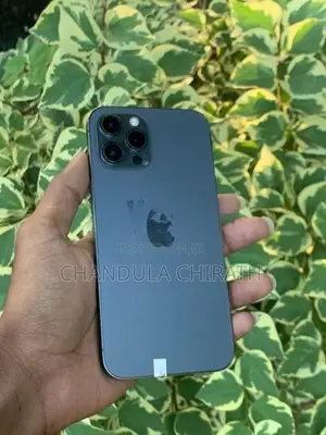 Apple iPhone 12 Pro Max (Used)