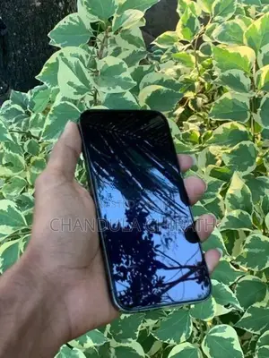 Apple iPhone 12 Pro Max (Used)