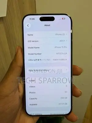 Apple iPhone 15 Pro 256GB (Used)