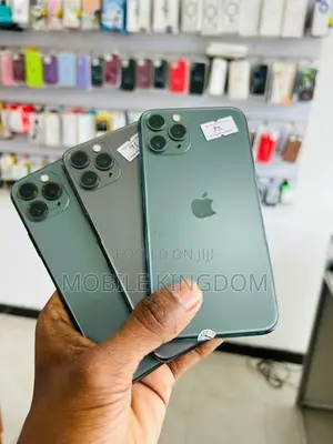 Apple iPhone 11 Pro 256GB Fullset Box (Used)