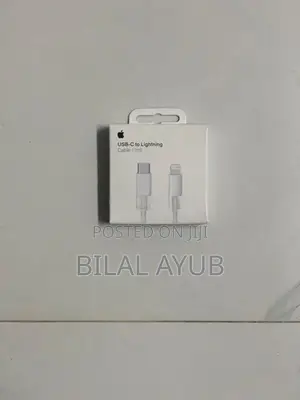 Apple C To Lightning Cable