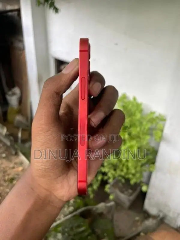 Apple iPhone 12 mini (Used)