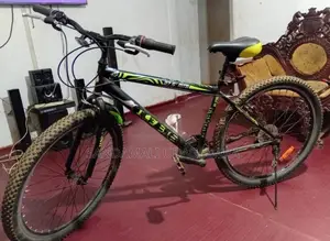 DSI Largest Size Bicycle