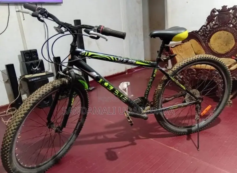 DSI Largest Size Bicycle
