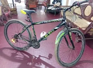 DSI Largest Size Bicycle