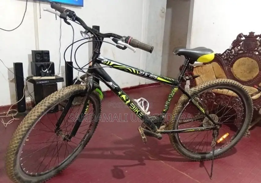 DSI Largest Size Bicycle