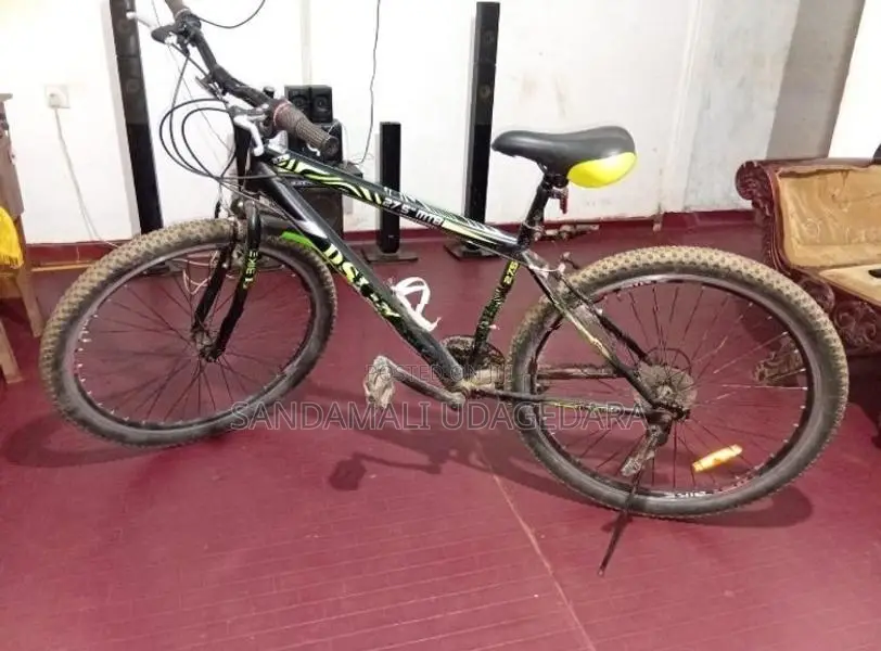 DSI Largest Size Bicycle