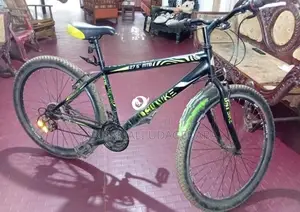 DSI Largest Size Bicycle