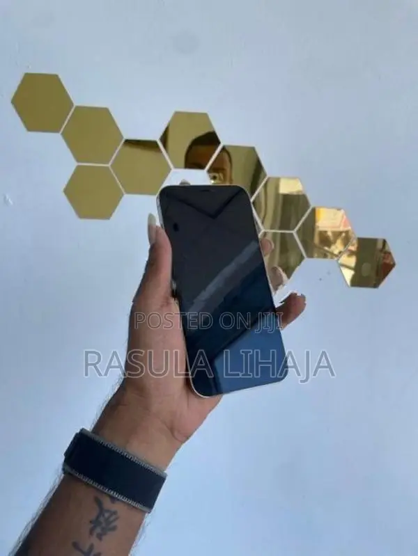 Apple iPhone 12 Pro Max (Used)