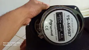 Pyramid Car Speakers with Box