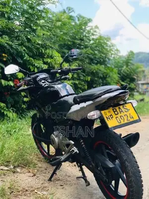 Bajaj Pulsar 135 2013