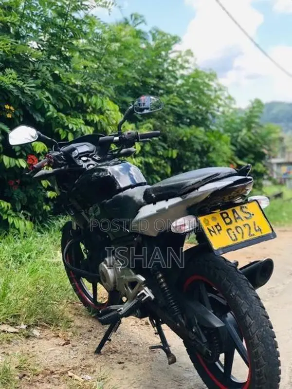 Bajaj Pulsar 135 2013