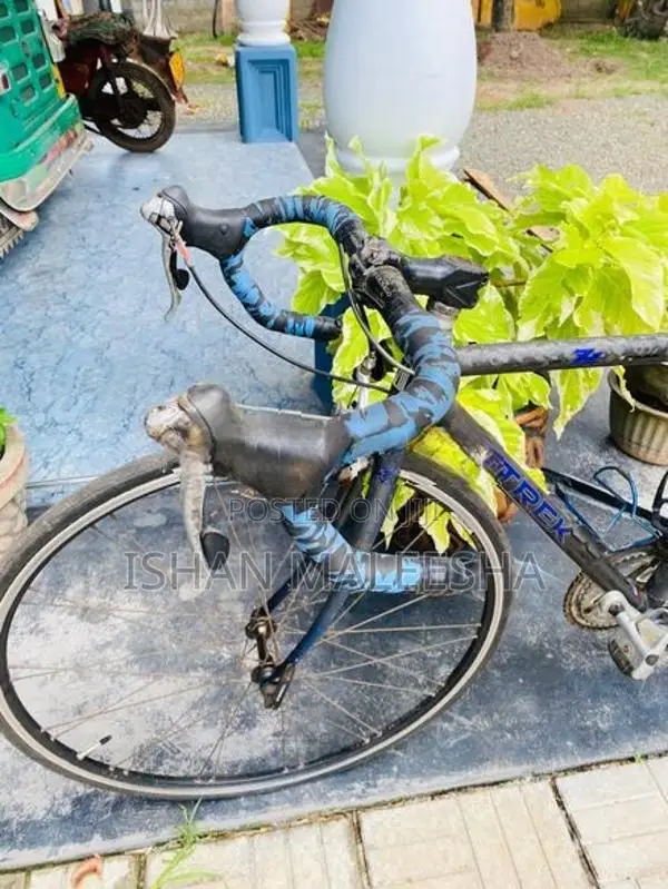 Trek Racing Bicycle Carbon Fiber