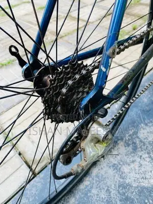 Trek Racing Bicycle Carbon Fiber
