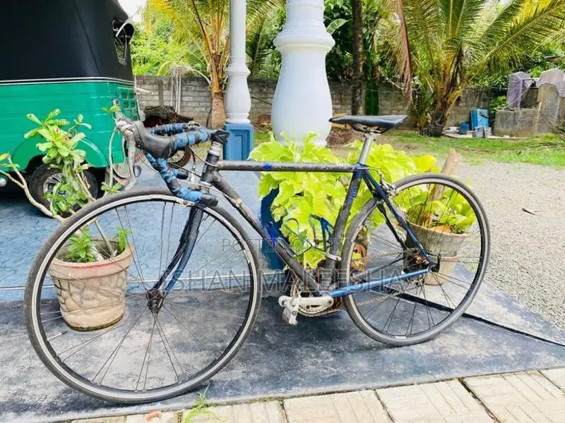 Trek Racing Bicycle Carbon Fiber