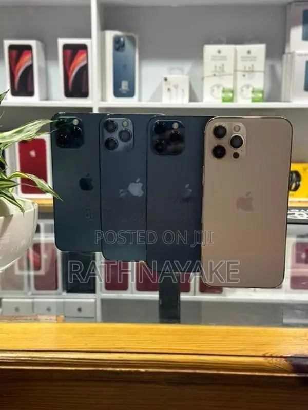 Apple iPhone 12 Pro Max (Used)