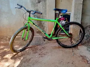 ​Lumala Active Bicycle