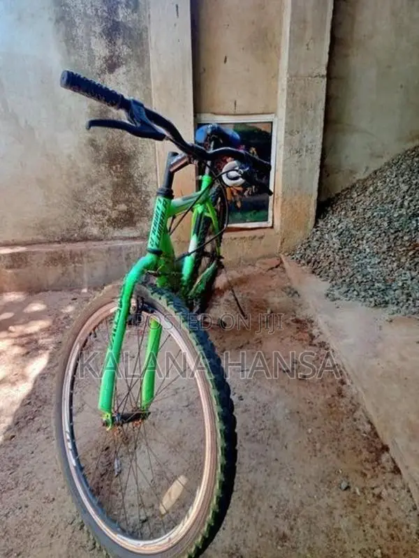 ​Lumala Active Bicycle