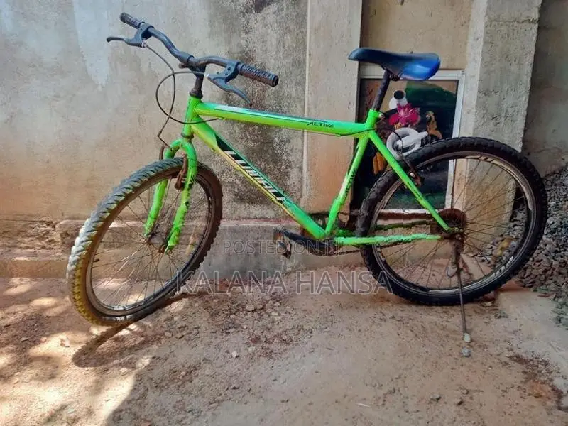 ​Lumala Active Bicycle