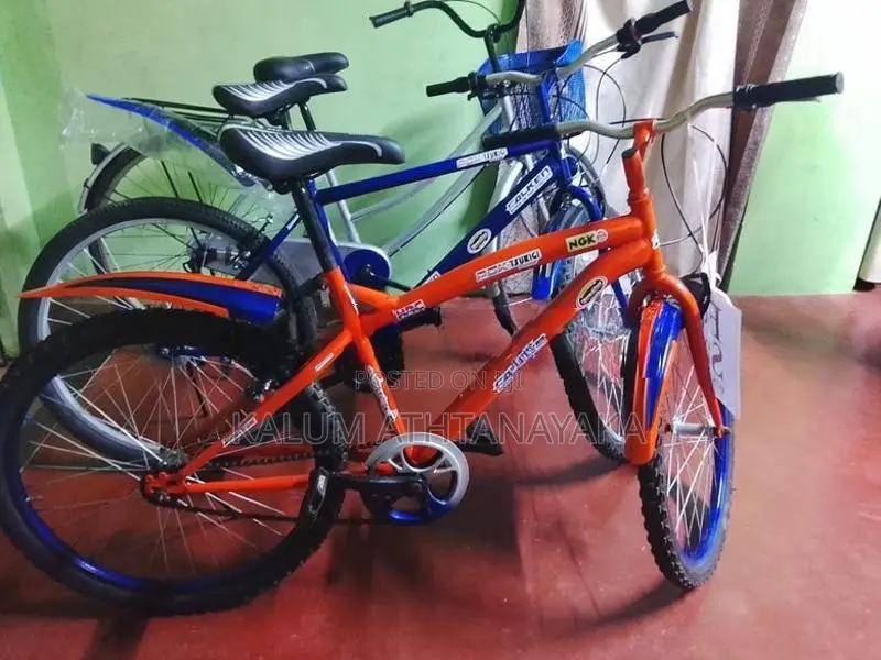 Mountain Bicycle New