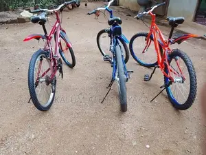 Mountain Bicycle New