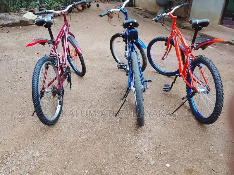 Mountain Bicycle New
