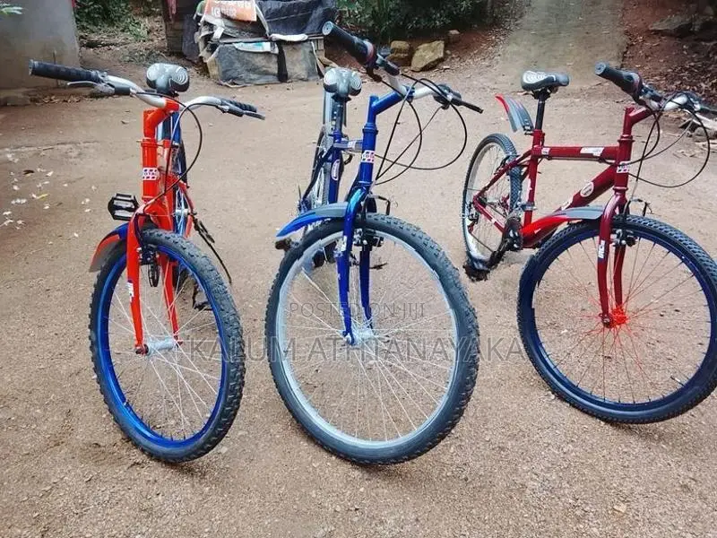 Mountain Bicycle New