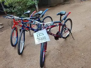 Mountain Bicycle New