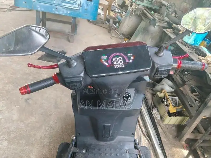 TMR G18 2024