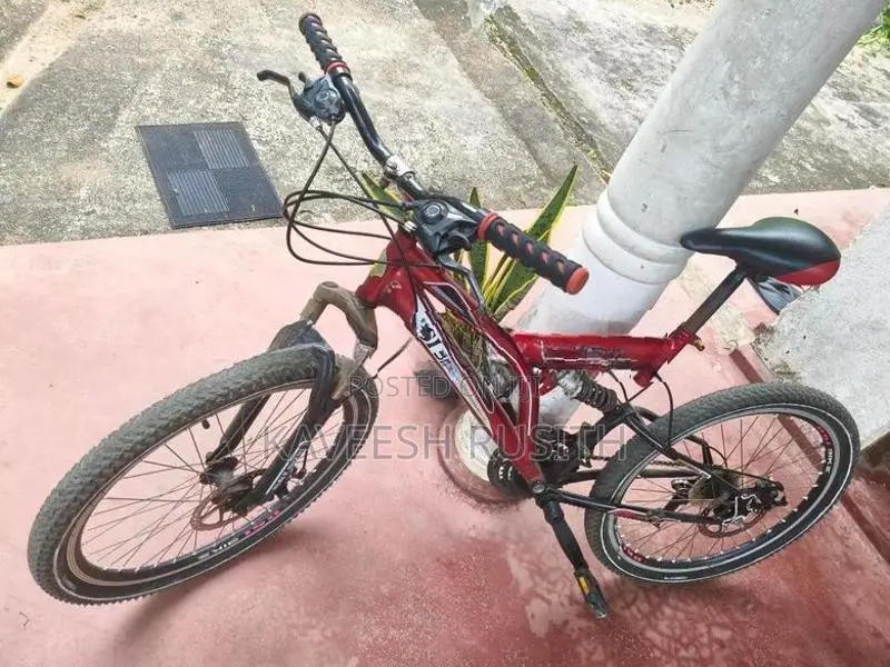 DSI Bicycle