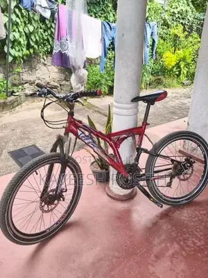 DSI Bicycle
