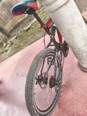 DSI Bicycle