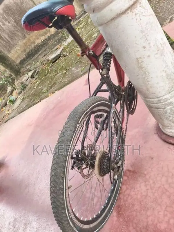 DSI Bicycle