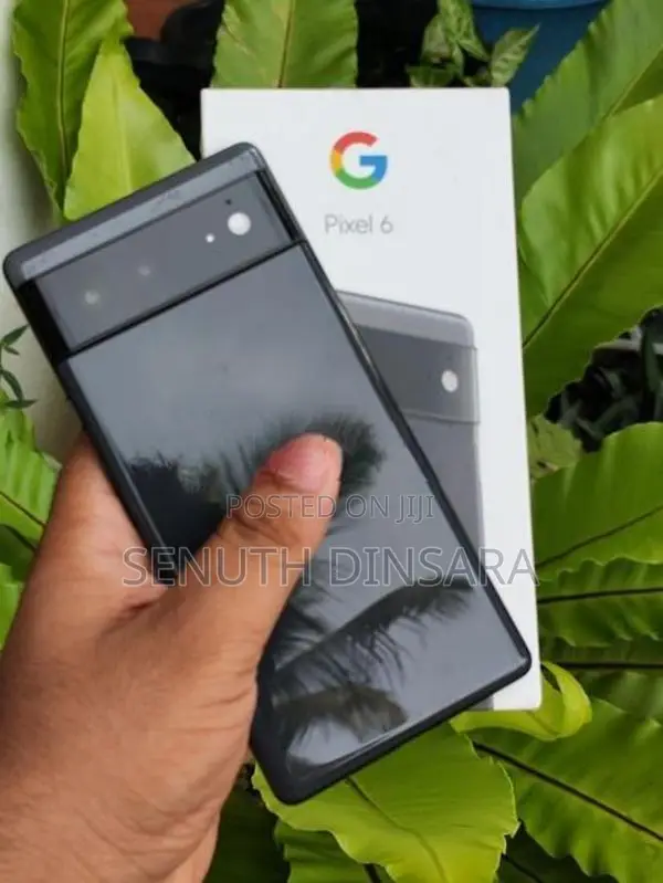 Google Pixel 6 (Used)