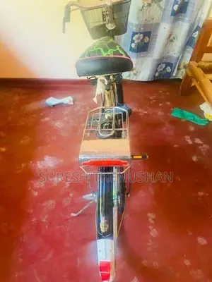 Lumala Cycle