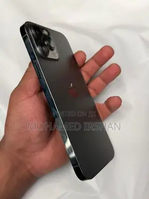 Apple iPhone 13 Pro Max (Used)