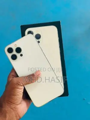 Apple iPhone 13 Pro Max (Used)