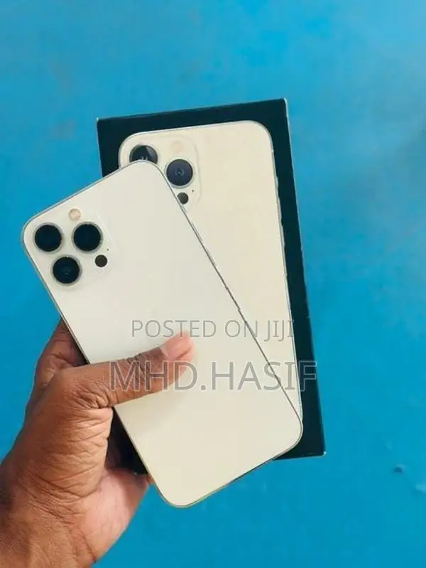 Apple iPhone 13 Pro Max (Used)